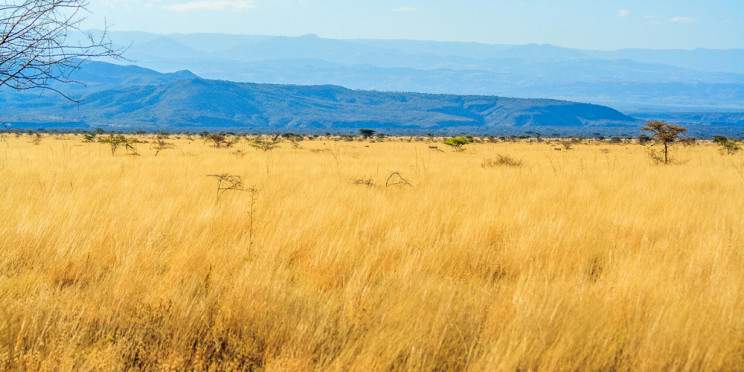 5-Day Harar & Awash Adventure Tour