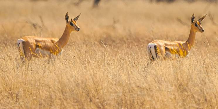 3-Day Exploring Maze National Park