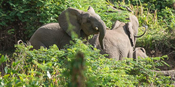 8-Day South Omo Valley & Chebera Churchura National Park