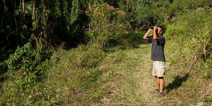 2-Day Chebera Churchura Wildlife Safari