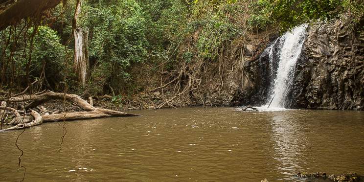 4-Day Chebera Churchura National Park Adventure