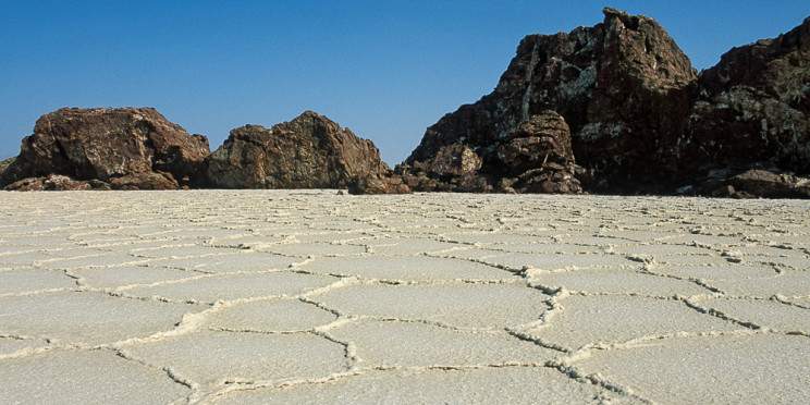 12-Day Northern Ethiopia Safari