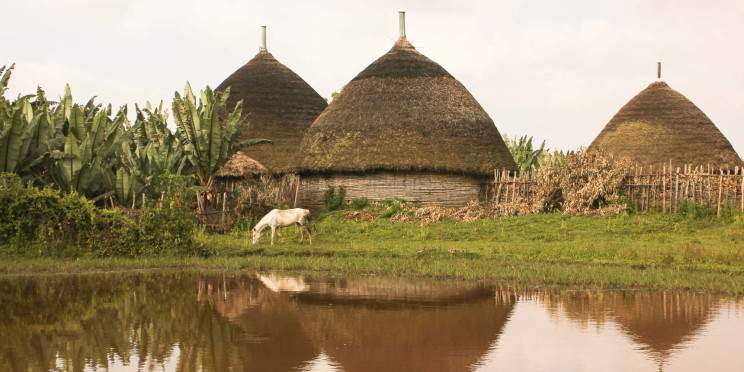 5-Day Community Hiking in Ethiopia's Greengurage Zone