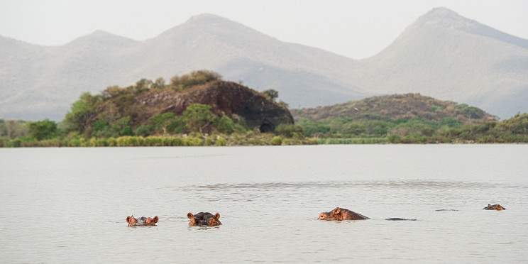 2-Day Langano, Abijatta–Shalla & Lake Ziway