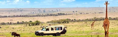 10-Day Kenya Masai Mara, Uganda Gorilla Trekking & Rwanda