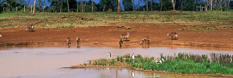 Samburu-Aberdare National Park