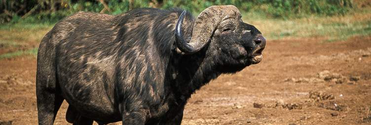 Samburu to Aberdares