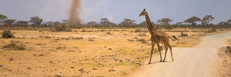 Lake Nakuru NP-Amboseli National Park