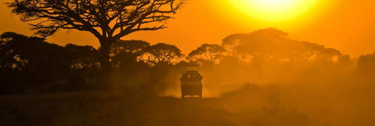 Amboseli Expedition