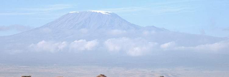Amboseli National Park - Full Guided Game Drive
