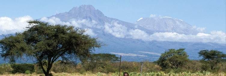 Full Day in Amboseli | Big Views, Big Herds