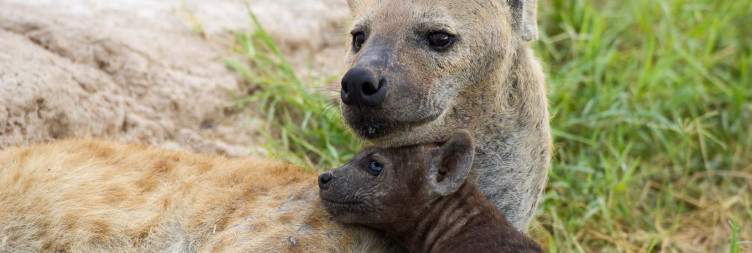 Amboseli National Park