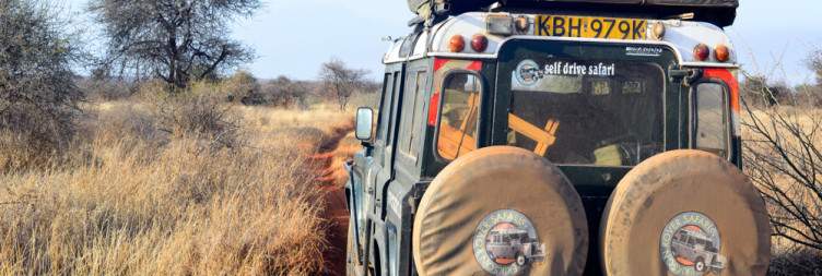 Transfer to Amboseli National Park