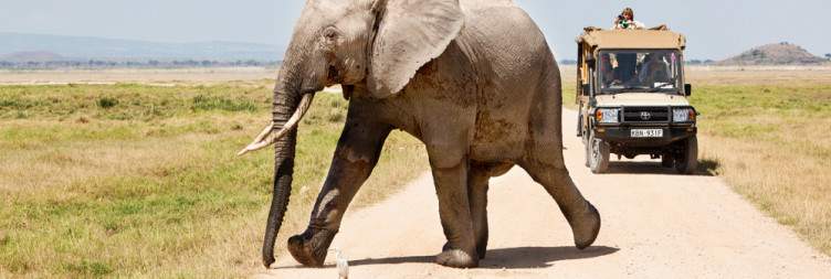 Overnight Mt Kilimanjaro/Amboseli Experience