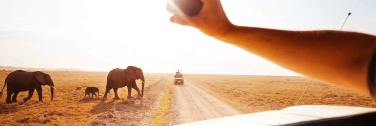 Nairobi-Amboseli National Park