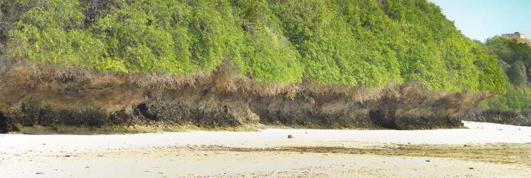 Marine Adventure & Beach Relaxation
