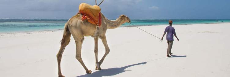 Nairobi to Diani Beach via Mombasa