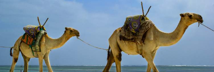 Diani Beach