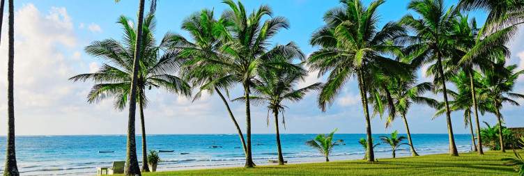 Departure to Diani Beach via Luxury Train