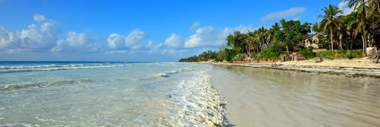 Diani