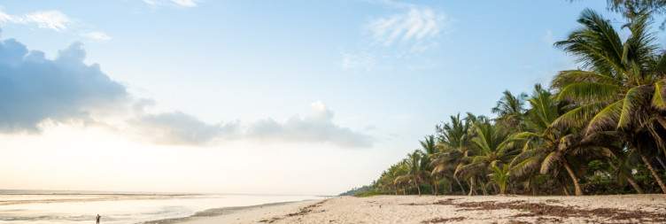 Journey to Diani Beach