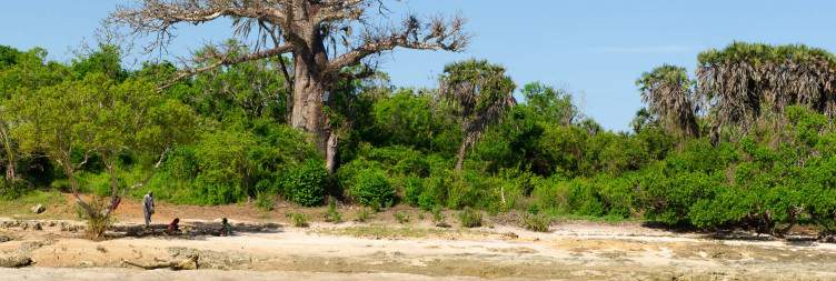Diani beach leisure