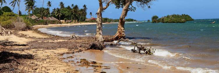 Visit Funzi Island