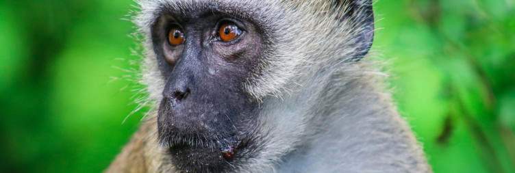 Haller Park Bamburi Visit & Beach Relaxation