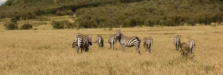 Nairobi-Lake Naivasha/Hell's Gate