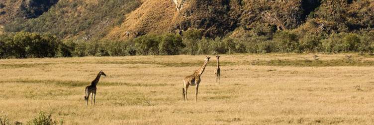 Nairobi-Hell's Gate National Park