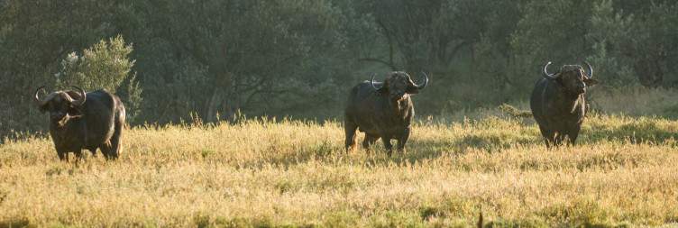 Nairobi - Hell's Gate National Park