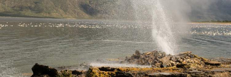 Lake Bogoria – Flamingo & Hot Springs Experience