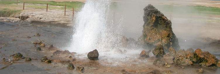 Lake Nakuru – Lake Bogoria