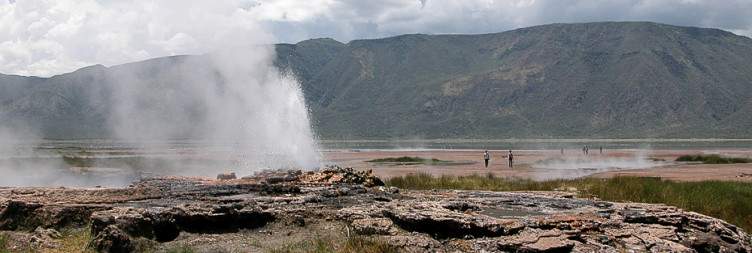 Full-Day in Lake Bogoria
