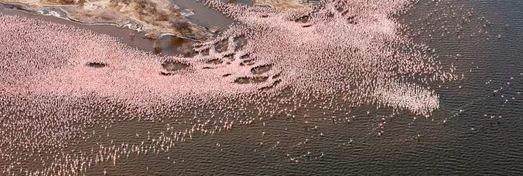 Lake Bogoria National Reserve