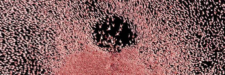 Nairobi - Lake Bogoria National Reserve-Nakuru