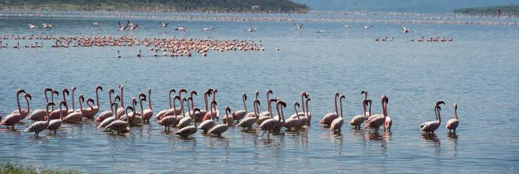 Samburu to Lake Bogoria