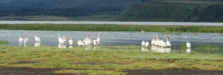 Lake Naivasha – Lake Elementaita