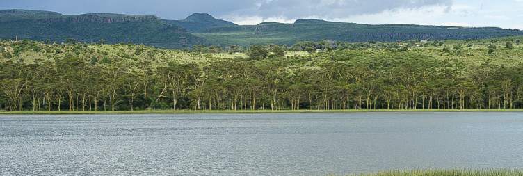 Lake Nakuru- Lake Elementaita
