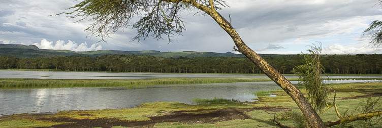 Lake Naivasha – Lake Elementaita