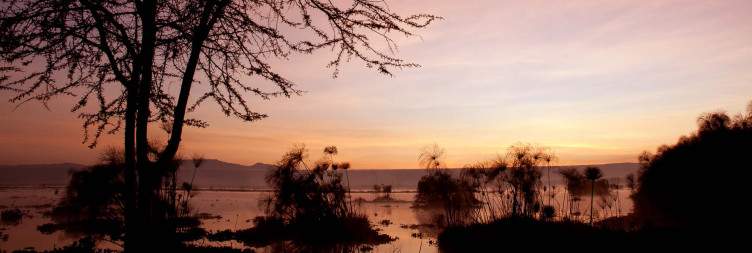 Lake Naivasha to Amboseli National Park