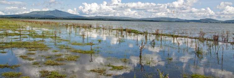Lake Nakuru National Park to Lake Naivasha