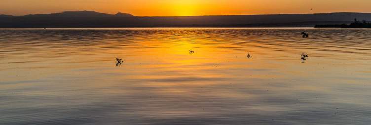 Lake Naivasha National Park