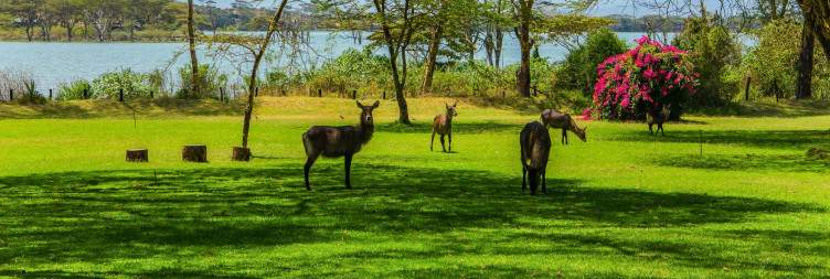 Nairobi to Lake Naivasha