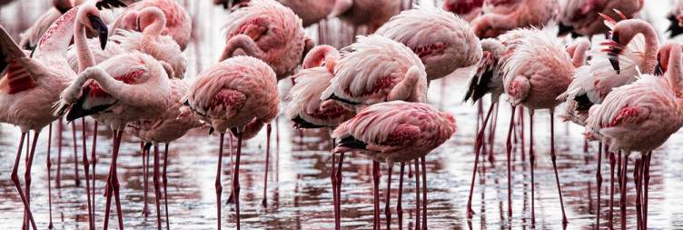 Samburu-Lake Nakuru