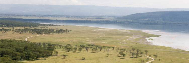 Maasai Mara-Lake Nakuru National Park