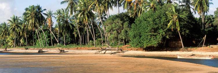 Adventure and Relaxation in Lamu