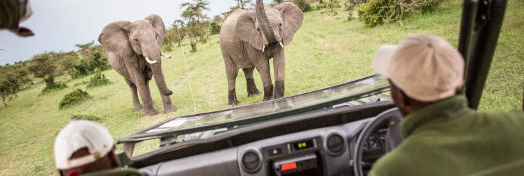 Explore the Naboisho Conservancy