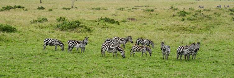 Mara North Conservancy