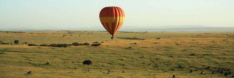 Full-day Game Drive in Masai Mara National Reserve
